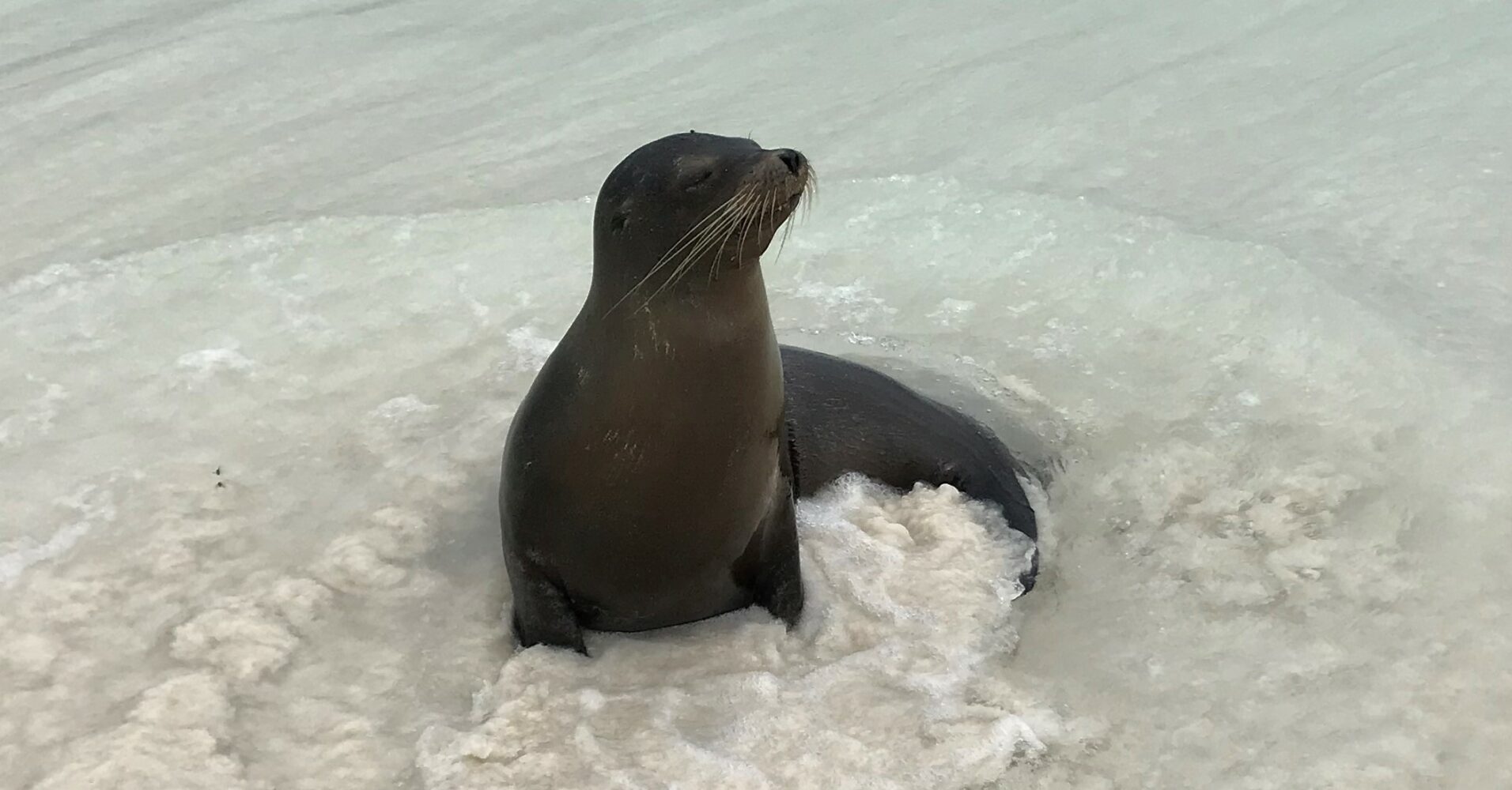 Familienurlaub auf den Galapagos Inseln