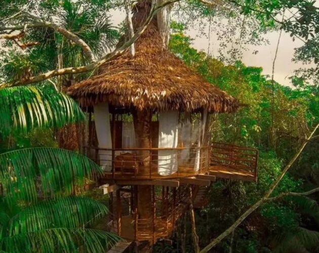 TREEHOUSE ECOLODGE