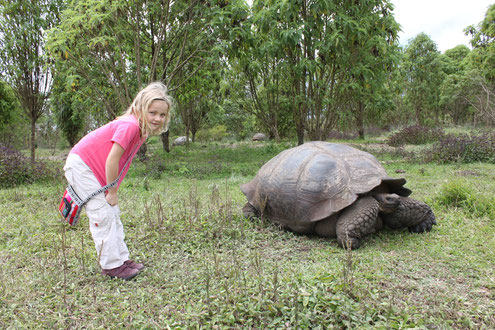 Machu Picchu - Galapagos Inseln in einer Reise kombinieren? Warum nicht?