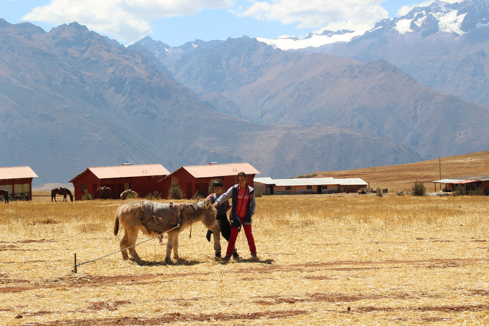 Eine Familienreise in Peru verspricht Spannung und Spass für alle: Aktiv sein, Ruinen erkunden, Regenwald erforschen, am Strand spielen und vieles mehr