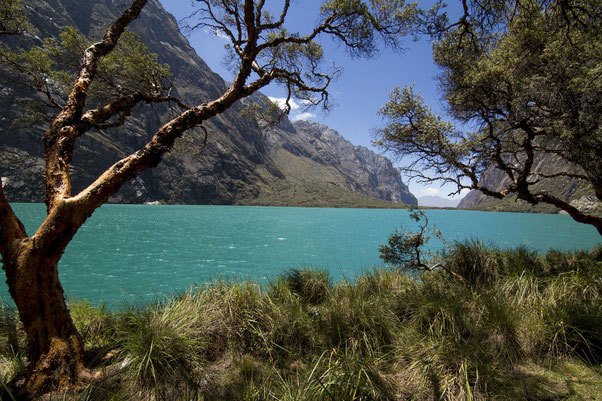 Beliebtes Ausflugs- und Trekkingziel: Lagunen Llanganuco - Foto: PromPeru