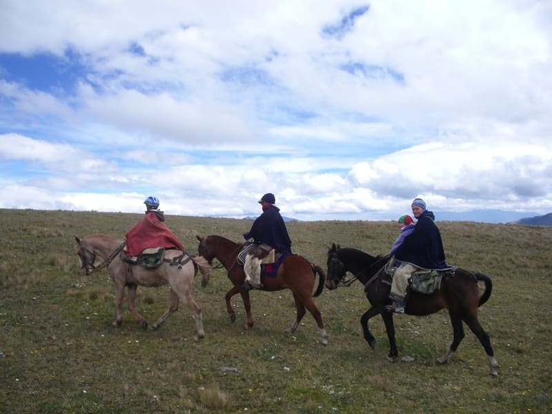 Reiten im Cotopaxi Nationalpark