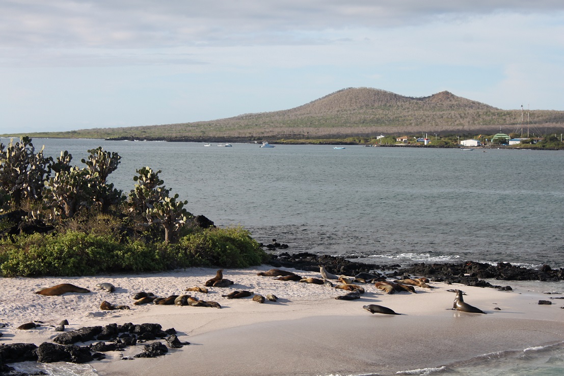 Insel Floreana, Galapagos - Blick auf den Hafen Puerto Velasco Ibarra