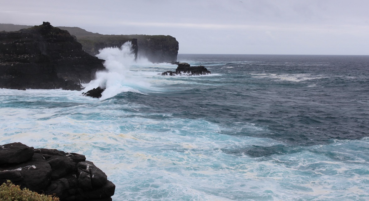 Die Galapagos Inseln: wild, einzigartig, spektakulär!