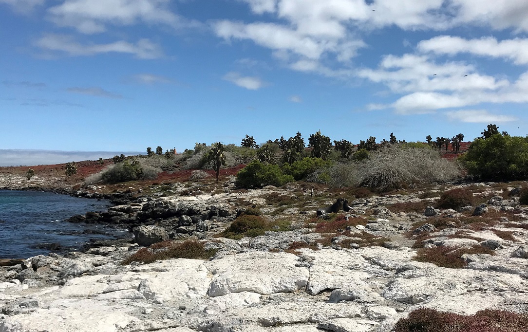 Insel Süd Plazas, Galapagos Inseln - an Fläche klein, an Vielfalt groß