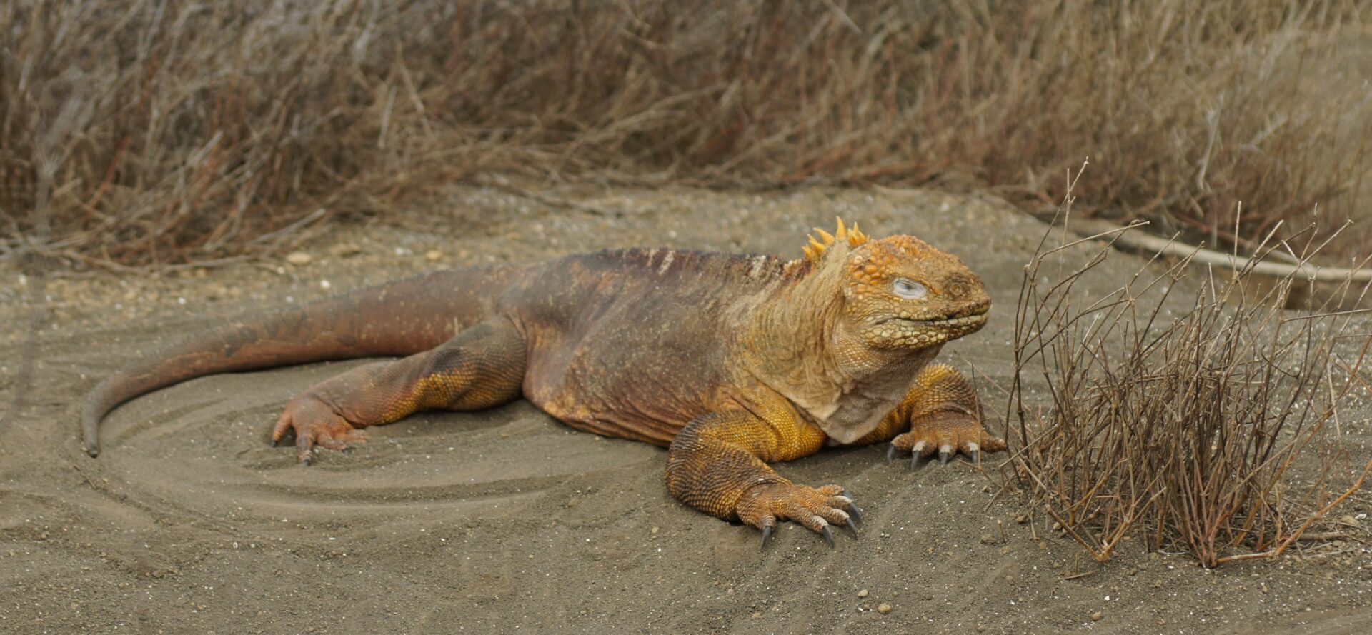 Nationalpark Galapagos Inseln