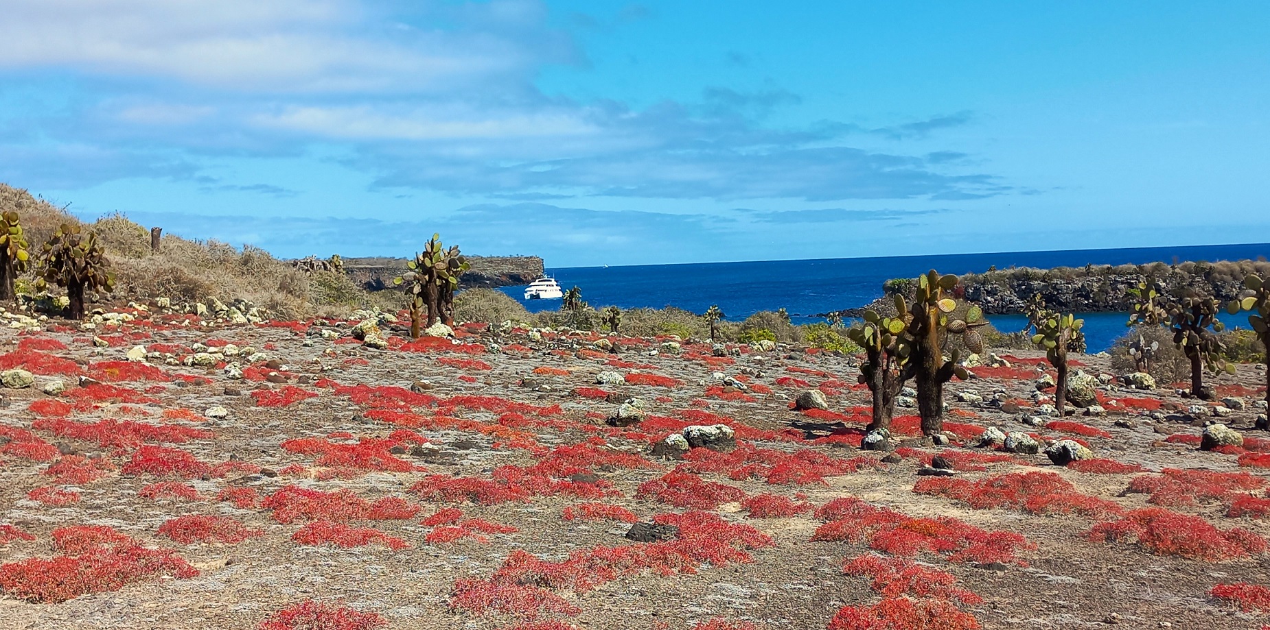 15 Tage Rundreise inkl. Galápagos Kreuzfahrt