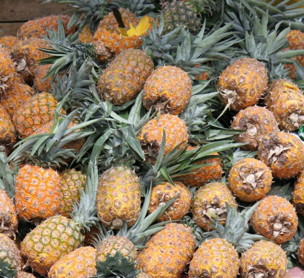 Latacunga Obststand am Markt