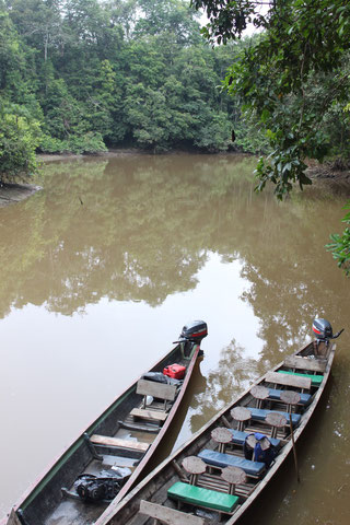 Cuayabeno Nationalpark, Kanus