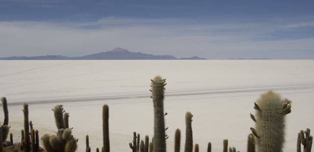 Salar de Uyuni - Isla Incahuasi